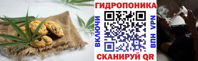 купить закладку  Курильск  дарк нет телеграм  Печенье с ТГК марихуана 