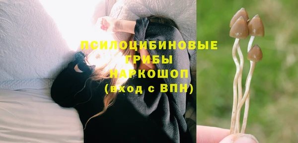 jwh Белокуриха