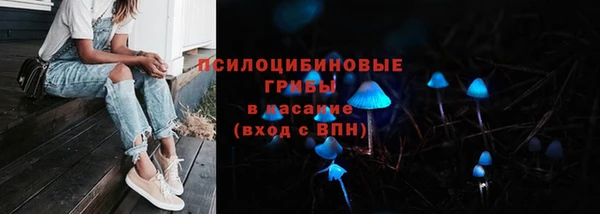 jwh Белокуриха