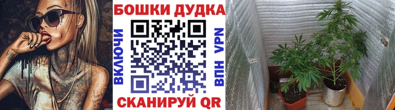 мориарти телеграм  Курильск  МАРИХУАНА план 